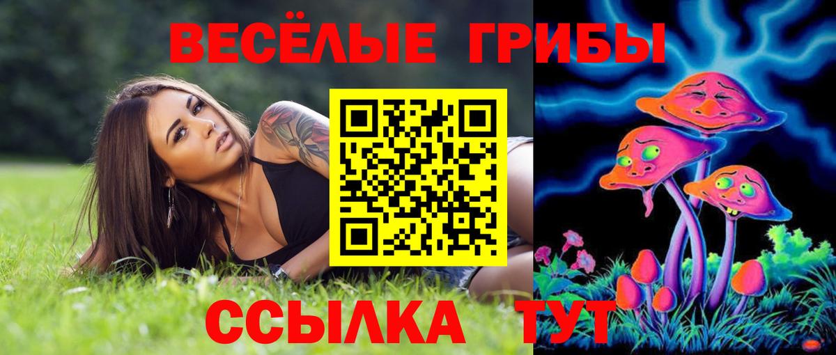 Марихуана Чернушка